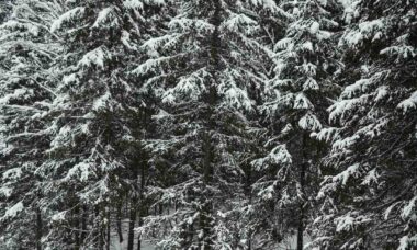Faire part mariage hiver